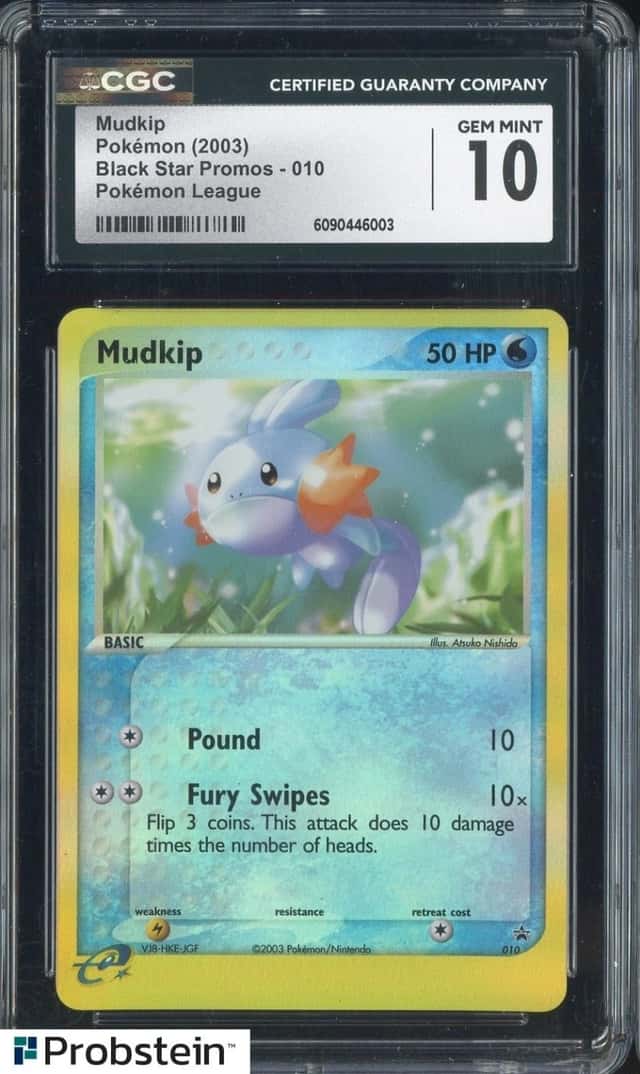 Mudkip