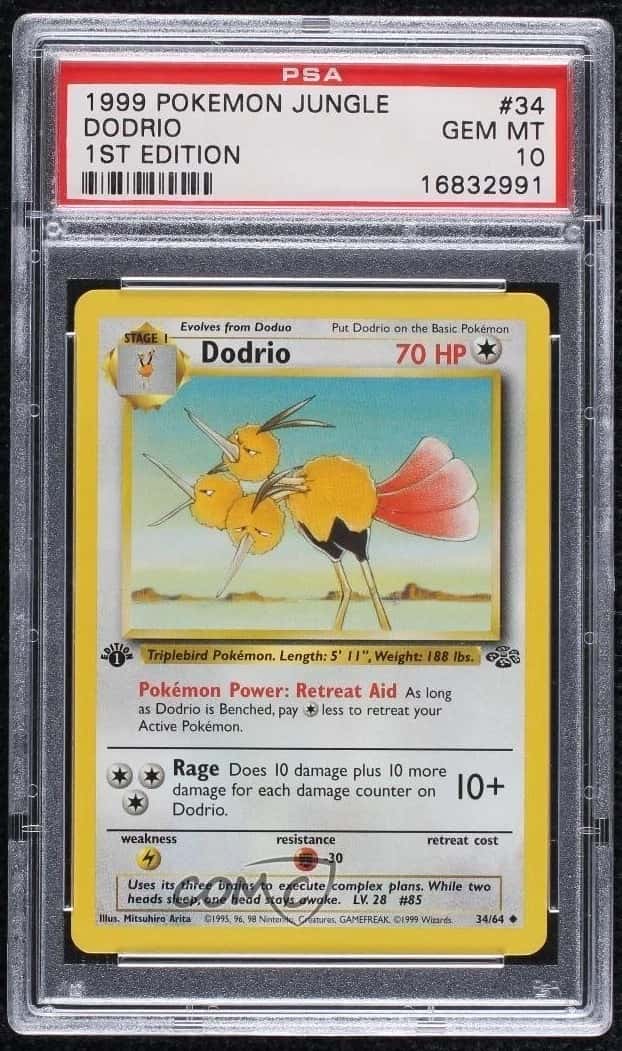 Dodrio