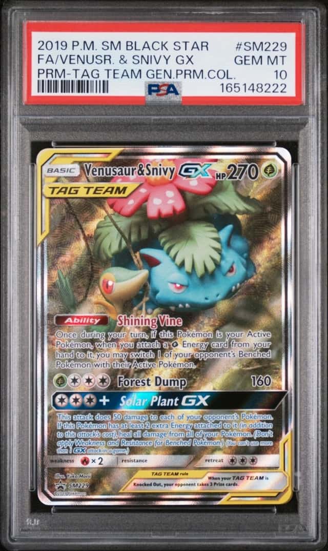 Venusaur & Snivy GX