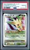 Leafeon Lv X