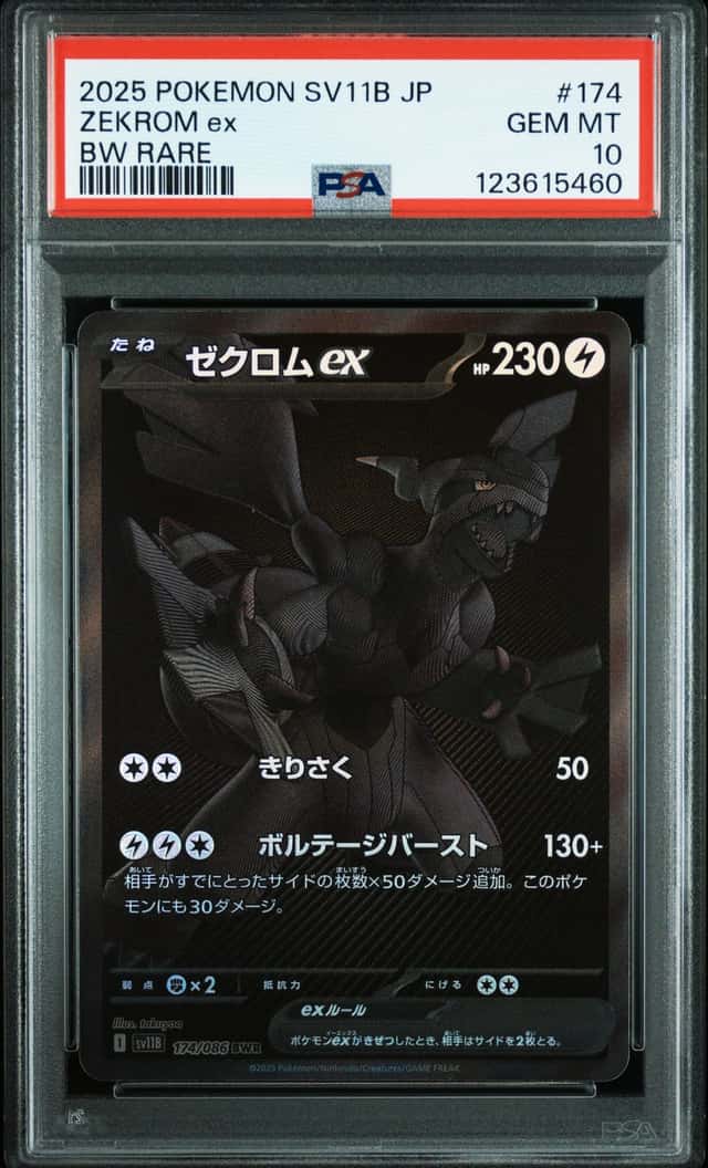 ZEKROM ex