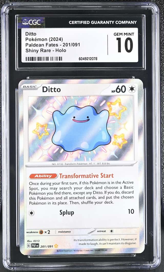 Ditto