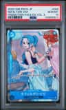 Nefeltari Vivi