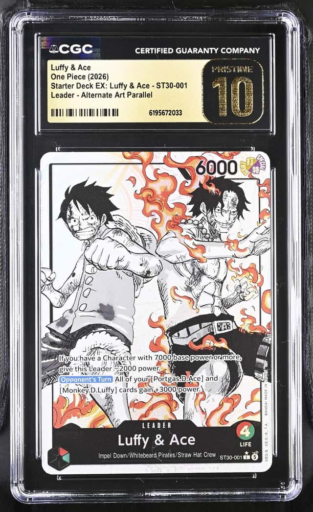 Luffy & Ace
