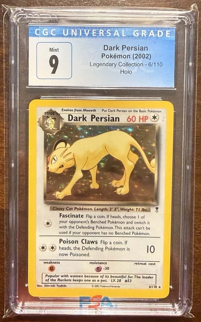 Dark Persian