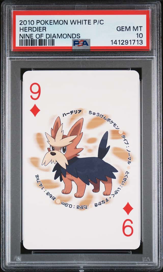 Herdier