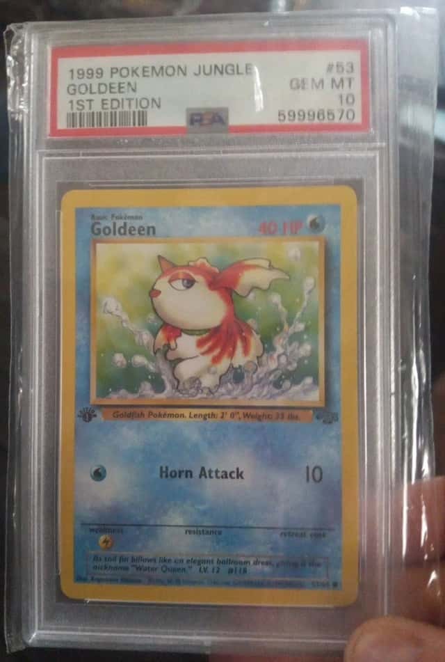 Goldeen