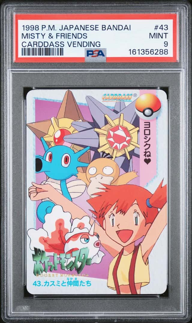 Misty & Friends