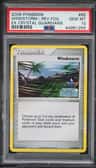 Windstorm-Rev.foil
