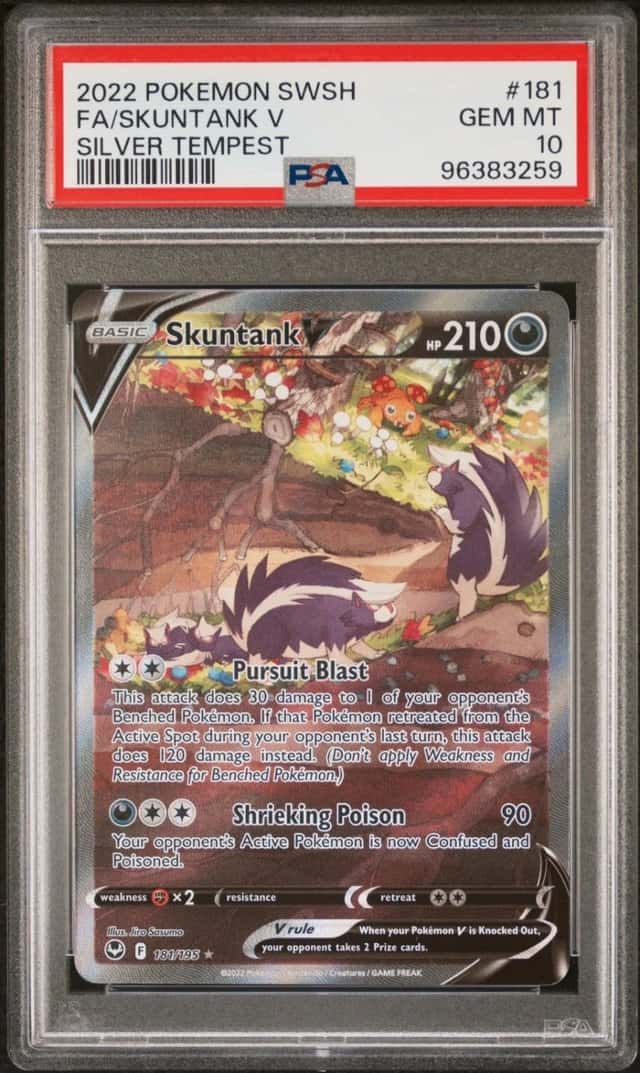 Skuntank V
