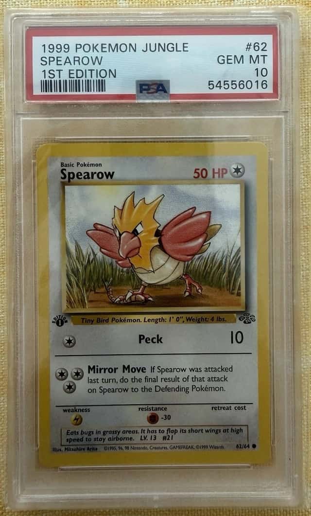 Spearow