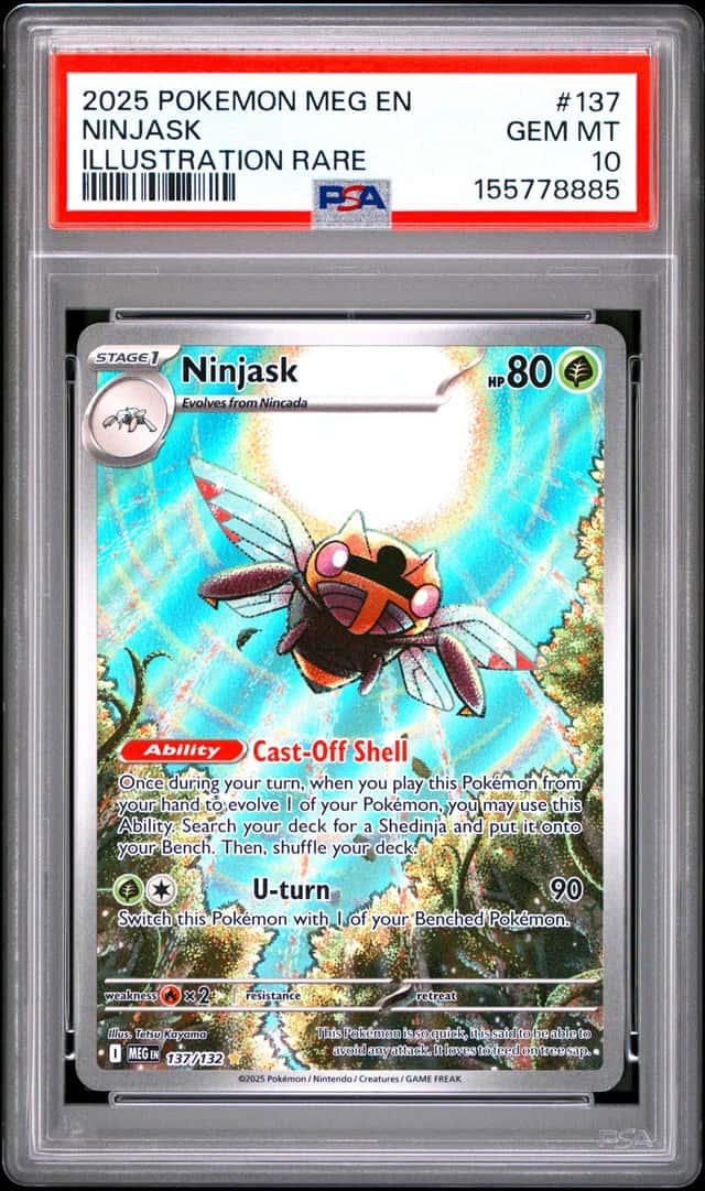Ninjask