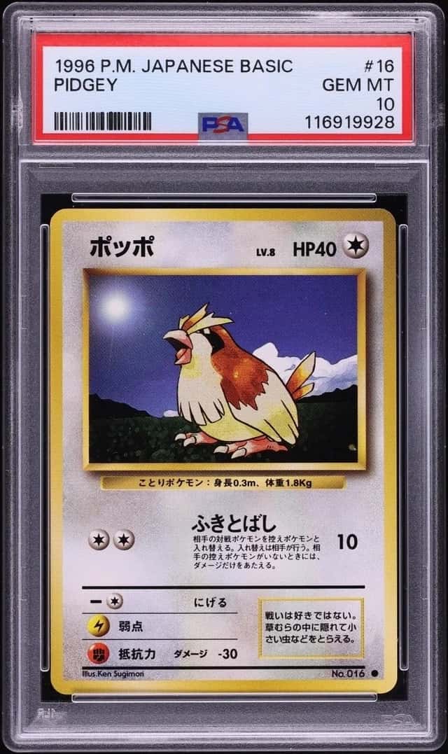 Pidgey