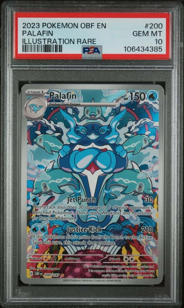Palafin