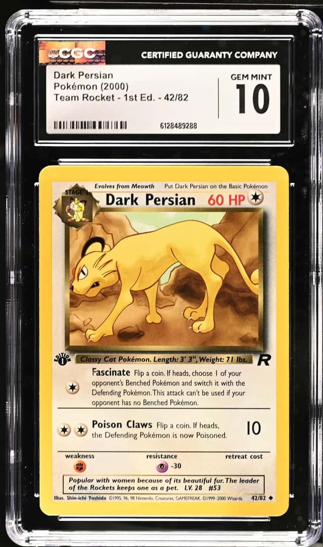 Dark Persian