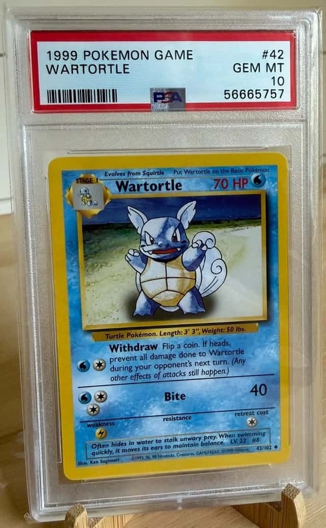 Wartortle