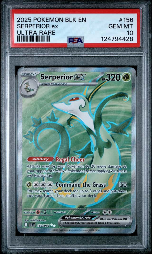 SERPERIOR ex