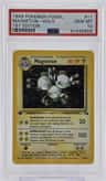 Magneton