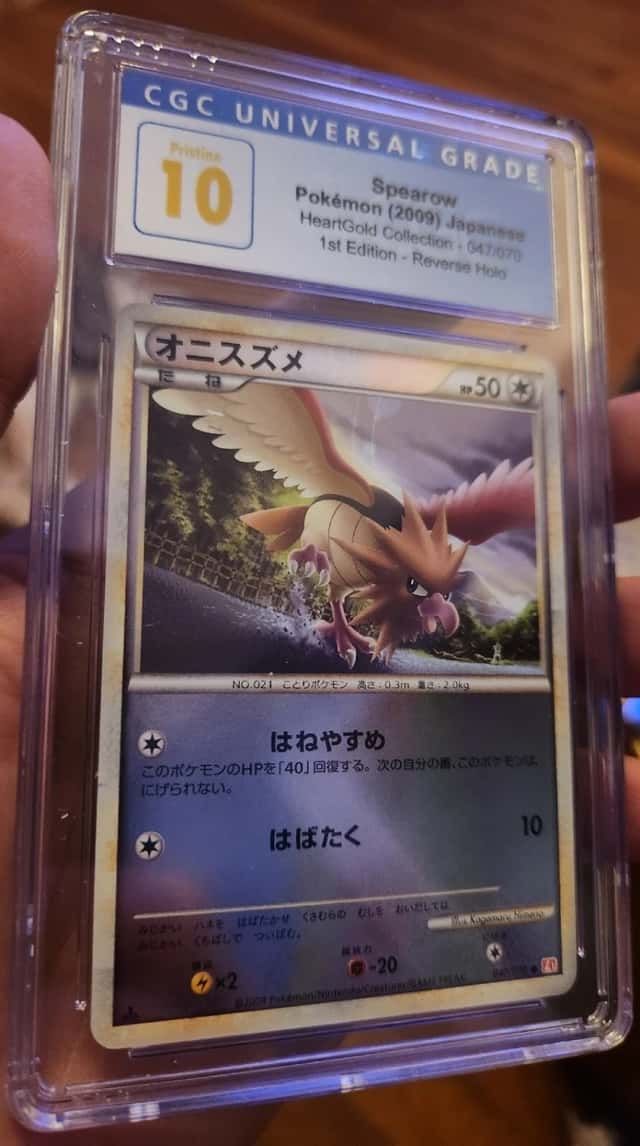 Spearow