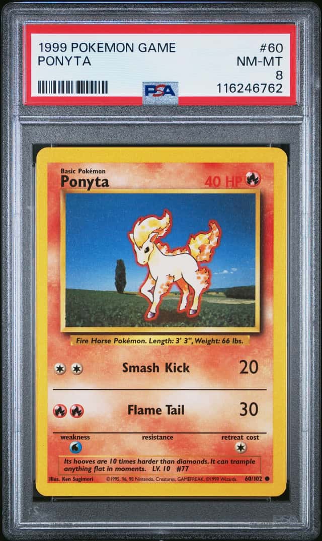 Ponyta