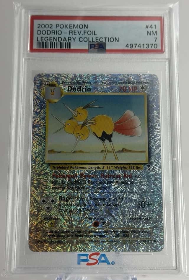 Dodrio