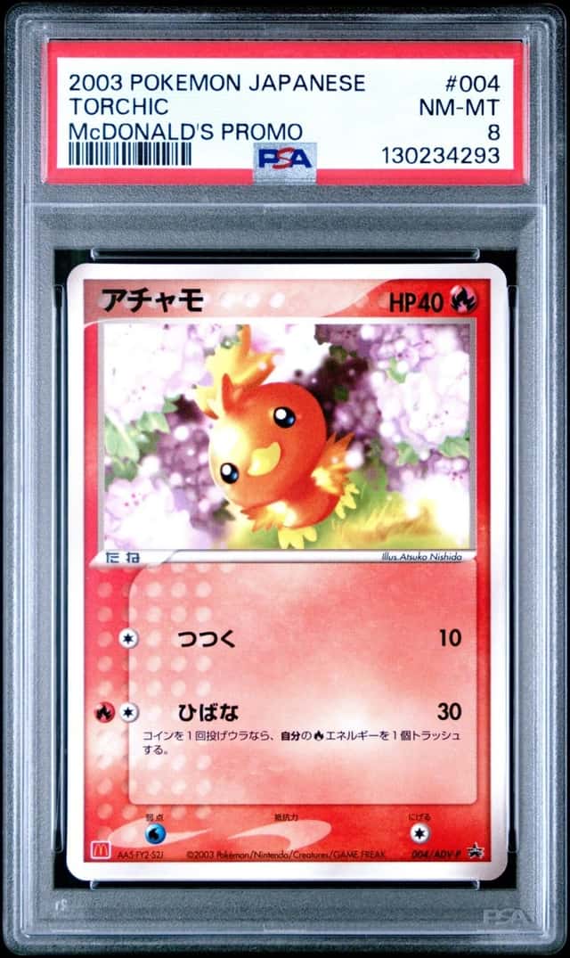 Torchic