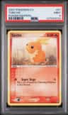 Torchic