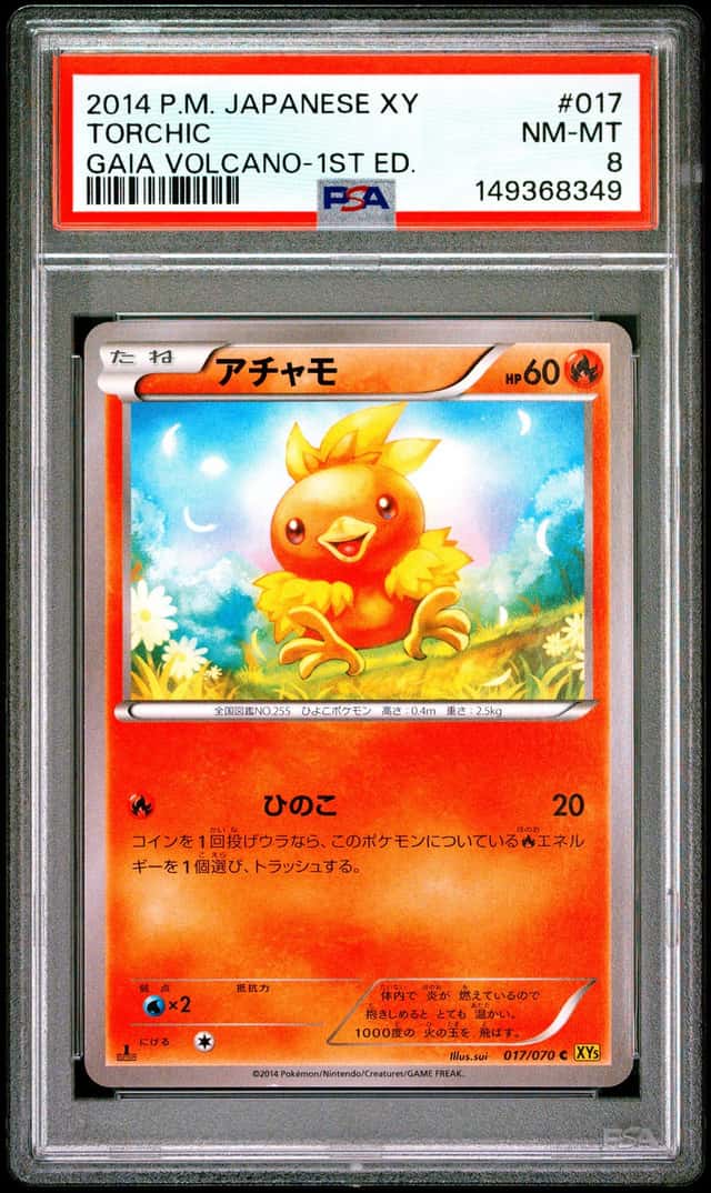 Torchic