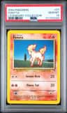 Ponyta