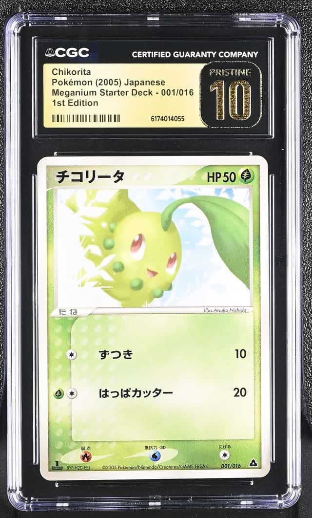 Chikorita