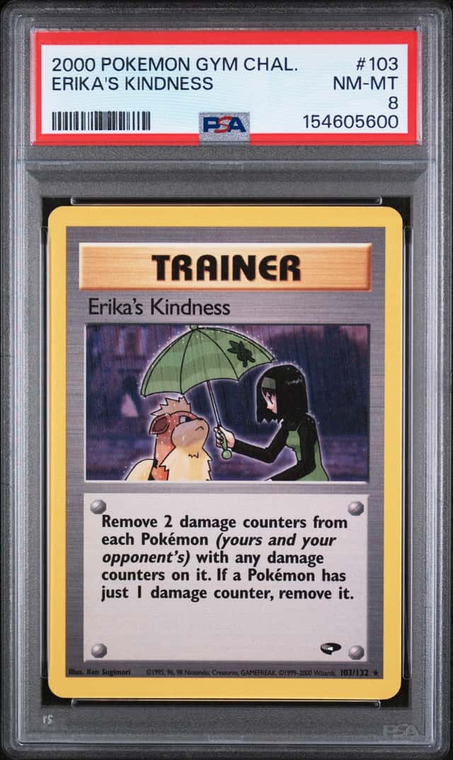 Erika's Kindness