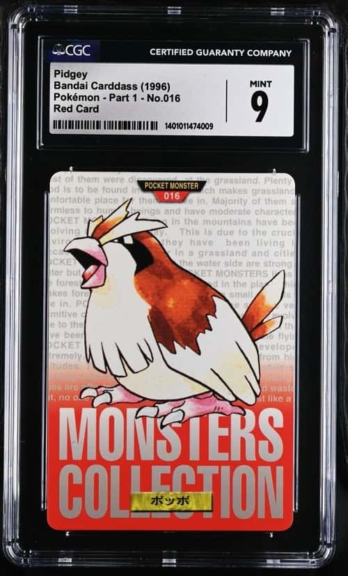 Pidgey