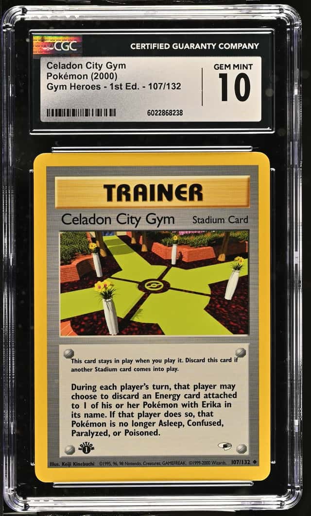 CELADON CITY GYM