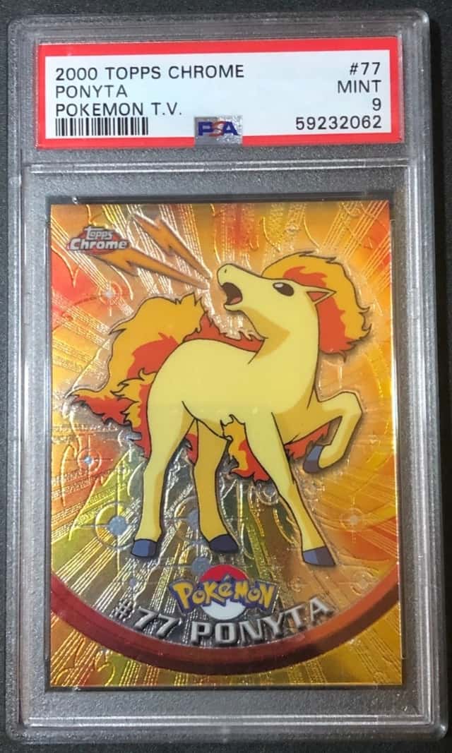 Ponyta