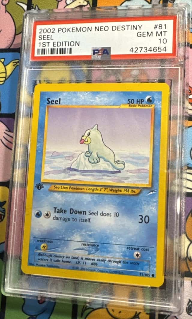 Seel