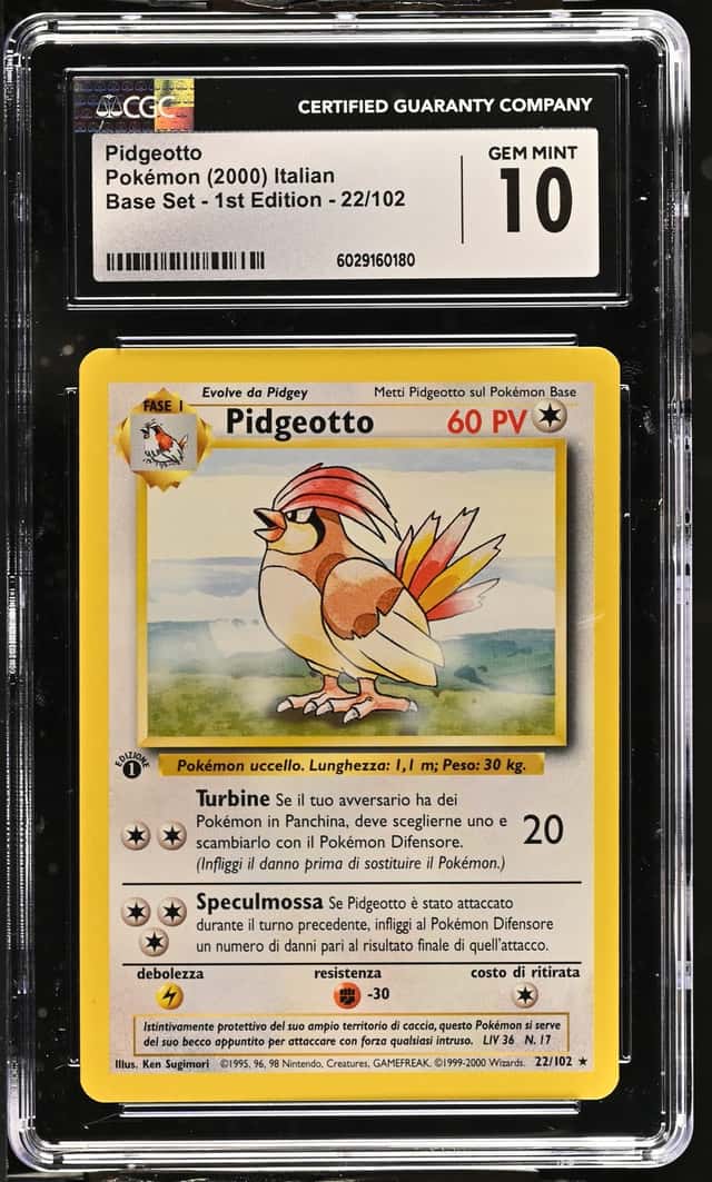 Pidgeotto