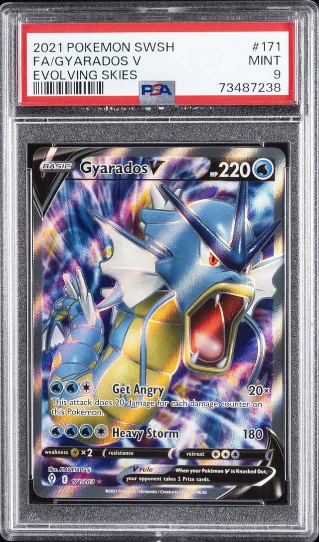 Gyarados V