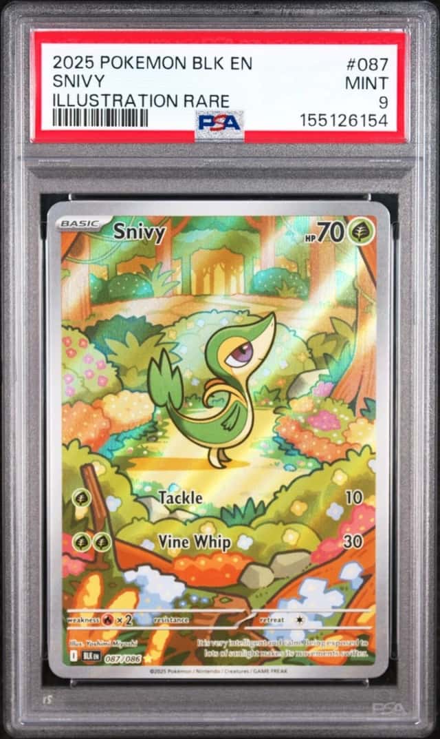 Snivy