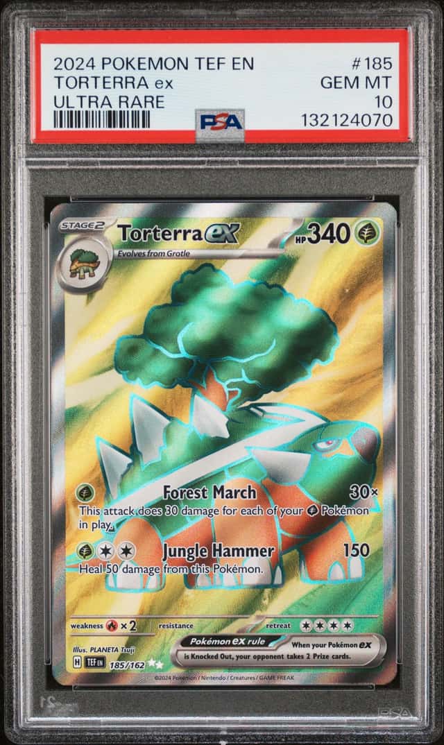 TORTERRA ex