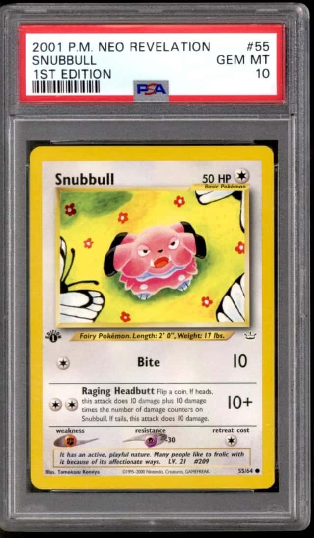 Snubbull