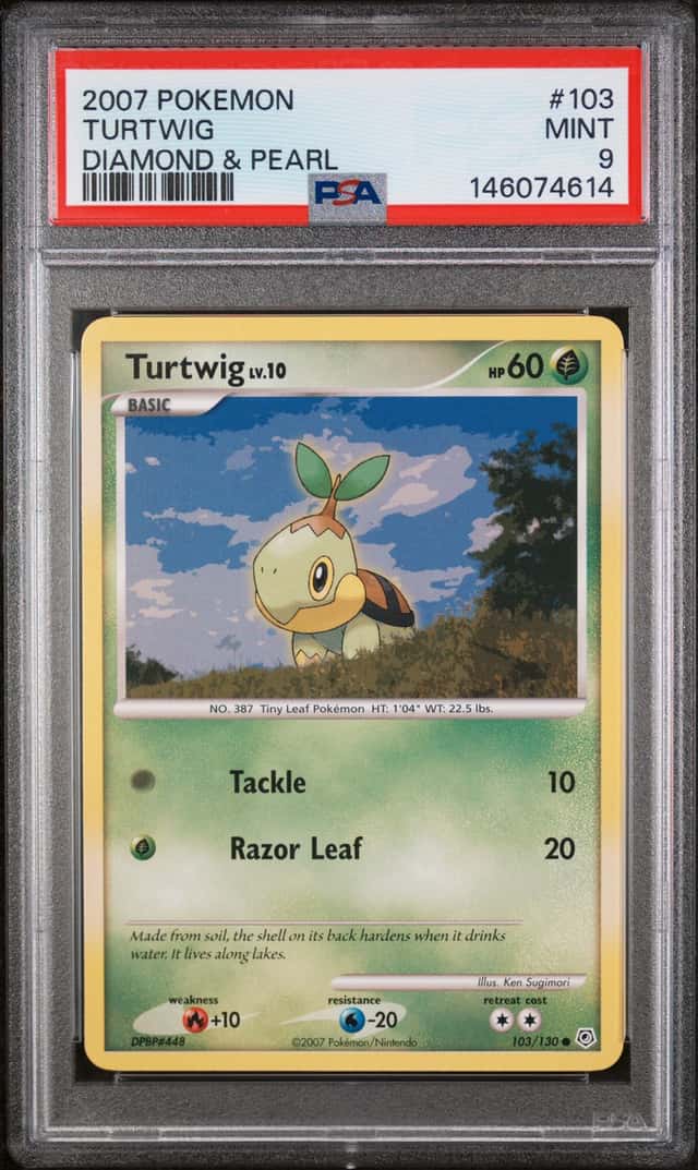 Turtwig
