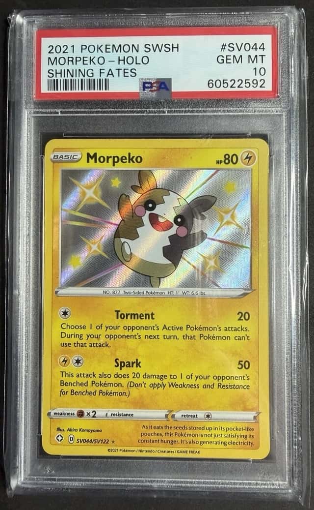 Morpeko