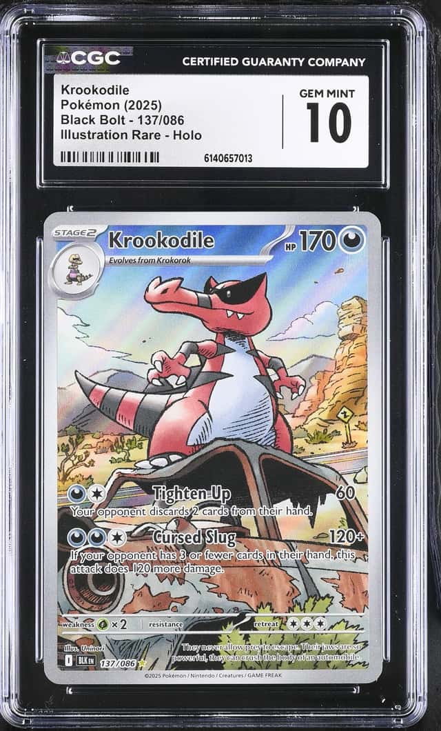 Krookodile