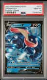 Greninja V