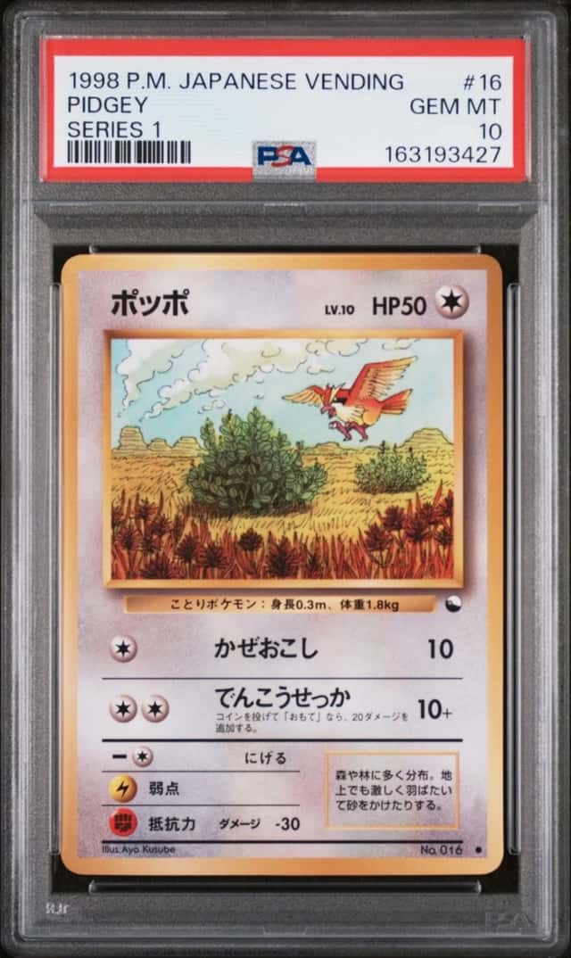 Pidgey