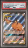 Raichu & Alolan Raichu Gx