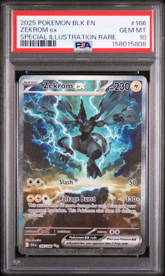 ZEKROM ex