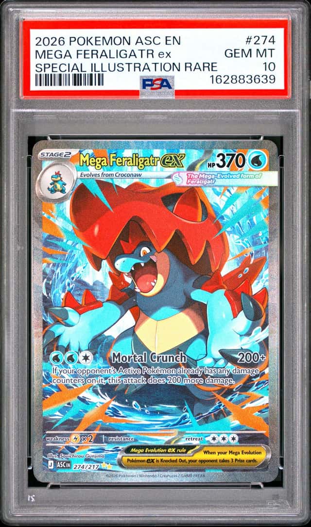 MEGA FERALIGATR ex