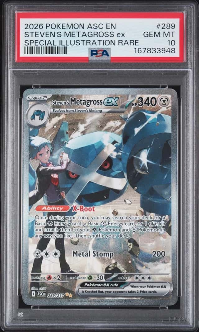 STEVEN'S METAGROSS ex