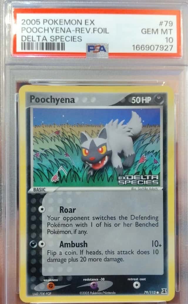 Poochyena